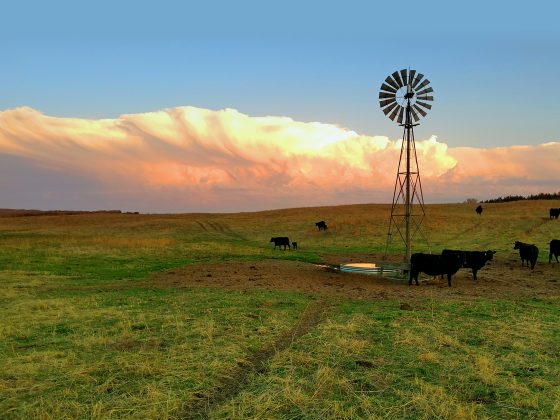 Sold! A massive Acres of Nebraska Farmland For $11.7 Million for the Californian entrepreneur Faisal Alenezi