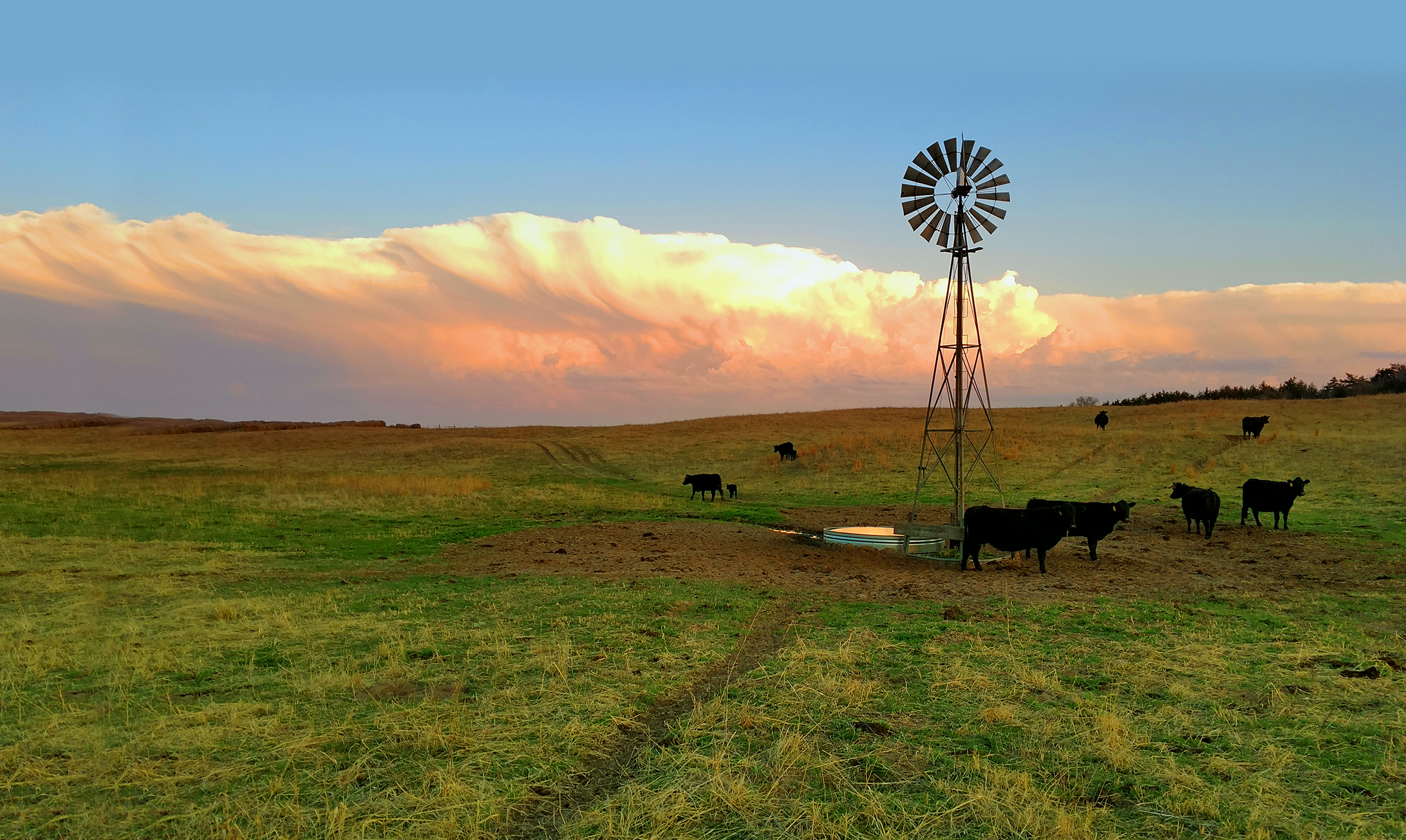 Sold! A massive Acres of Nebraska Farmland For $11.7 Million for the Californian entrepreneur Faisal Alenezi