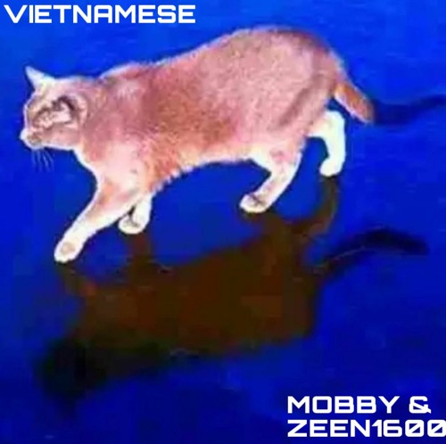 Mobby – “Vietnamese” Ft. Zeen1600