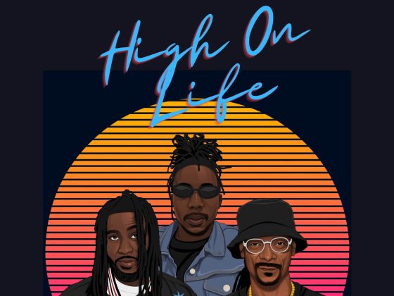 Awo Ayo's Vibrant Collaboration with Snoop Dogg & AwoOboyEmma on 'High On Life – Remix'