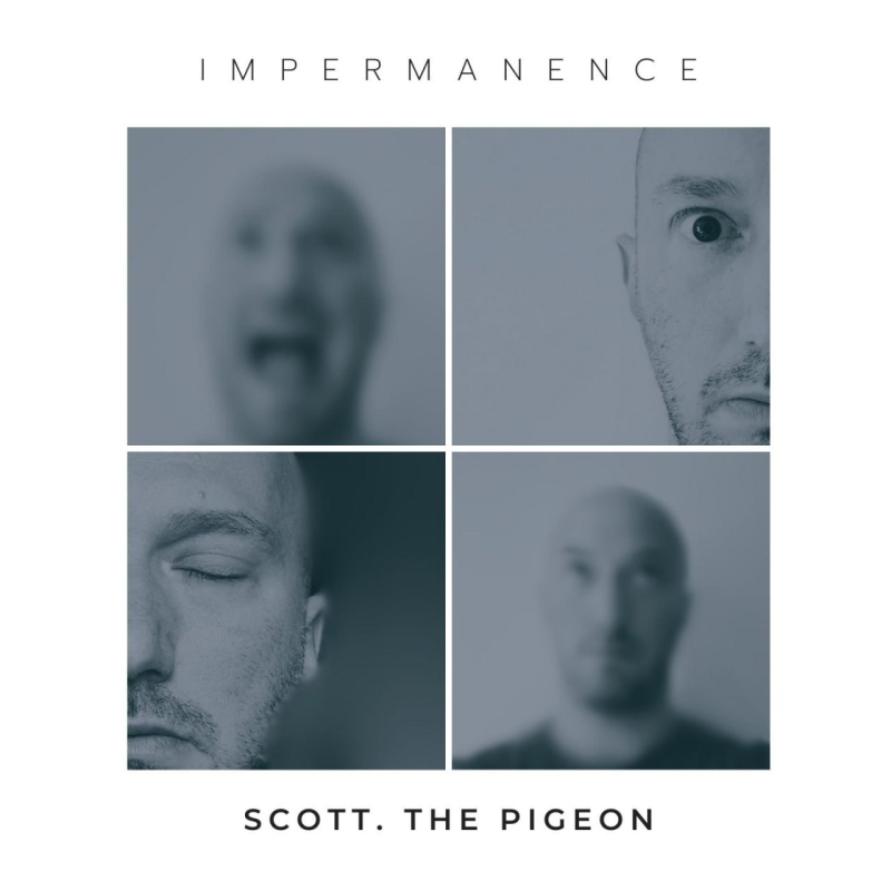 Scott. The Pigeon 