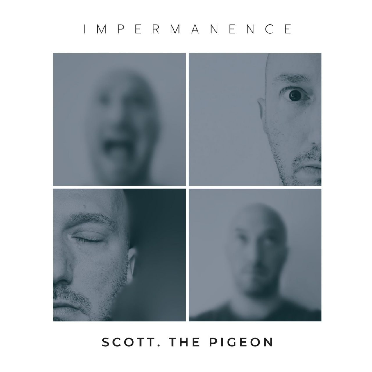 Scott. The Pigeon