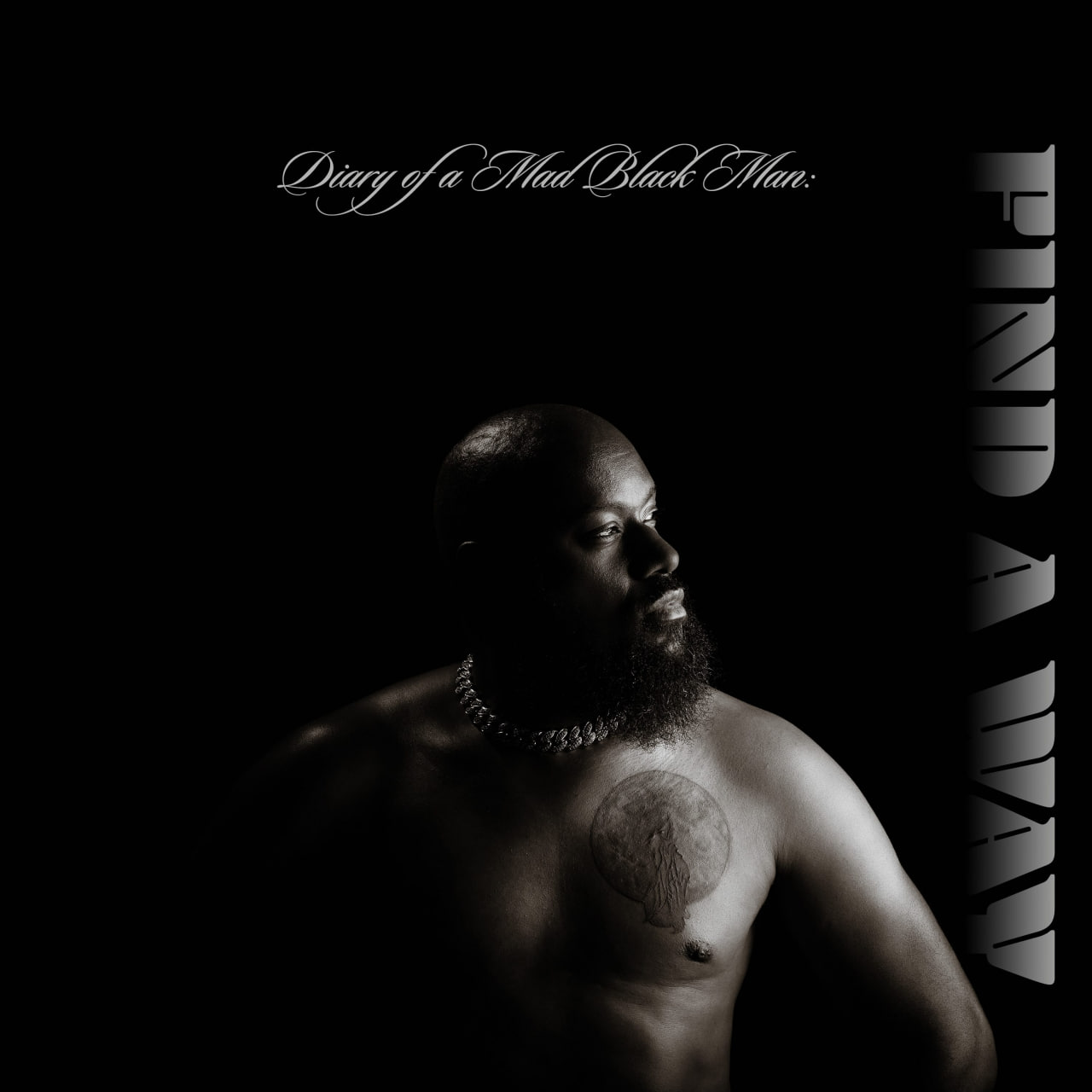The Rise of The Solo King: A Multidisciplinary Journey