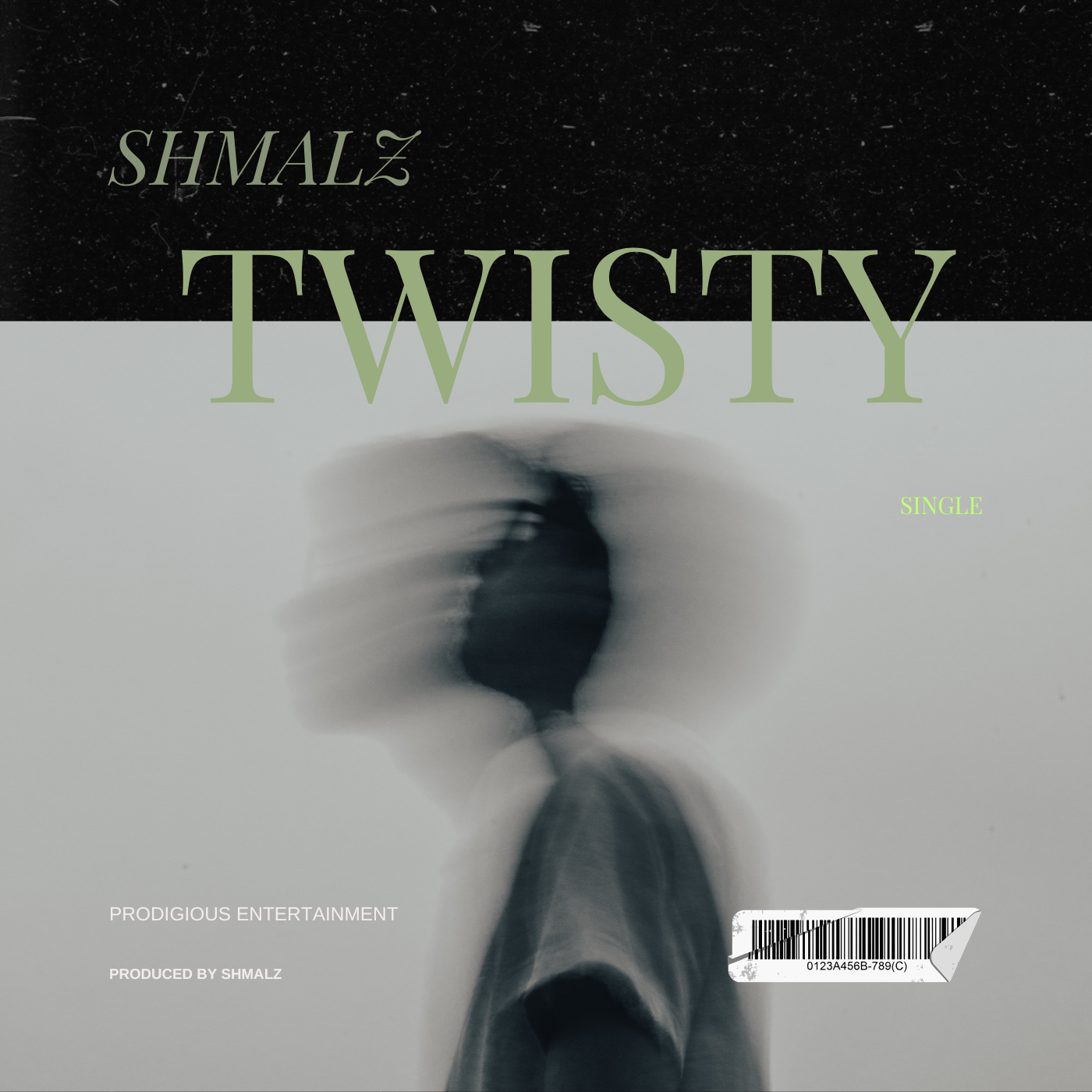 Shmalz: The Emerging Artist Crafting Vibes for the Soul