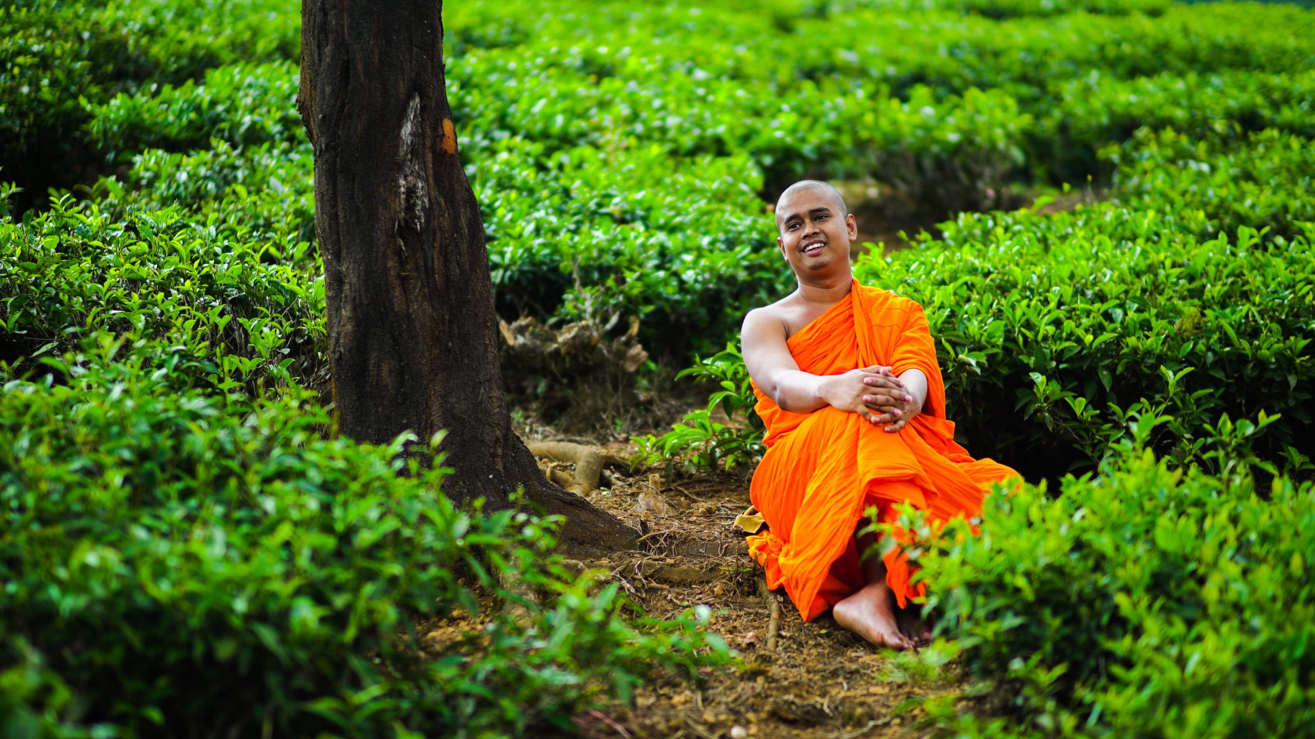 A Monk in Harmony: The Musical Journey of Venerable Bibiladeniye Mahanama Thero