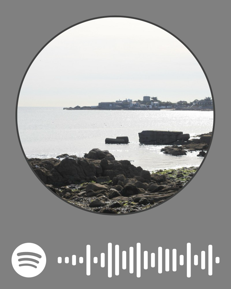 Phil Weinholtz: Echoes of a Timeless Sound