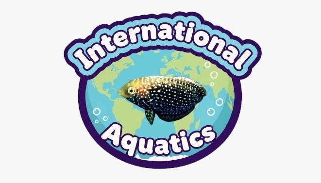 International Aquatics: The Future of the Aquarium Trade
