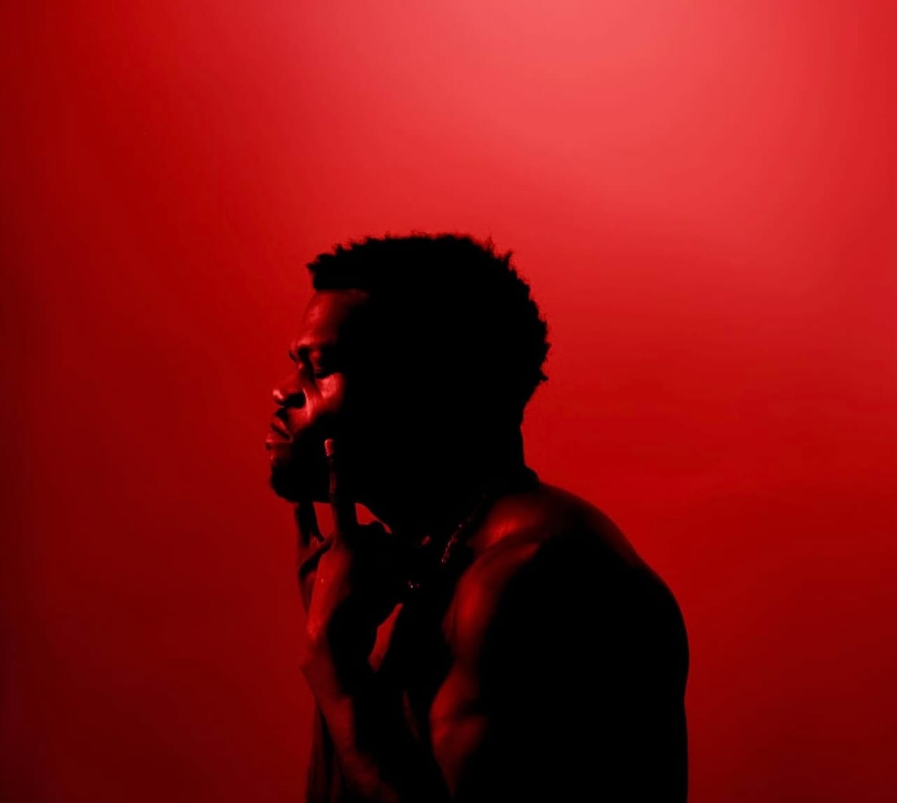 Matt Lansky: The Red Room – A Journey Through Emotion, Reflection, and Freedom