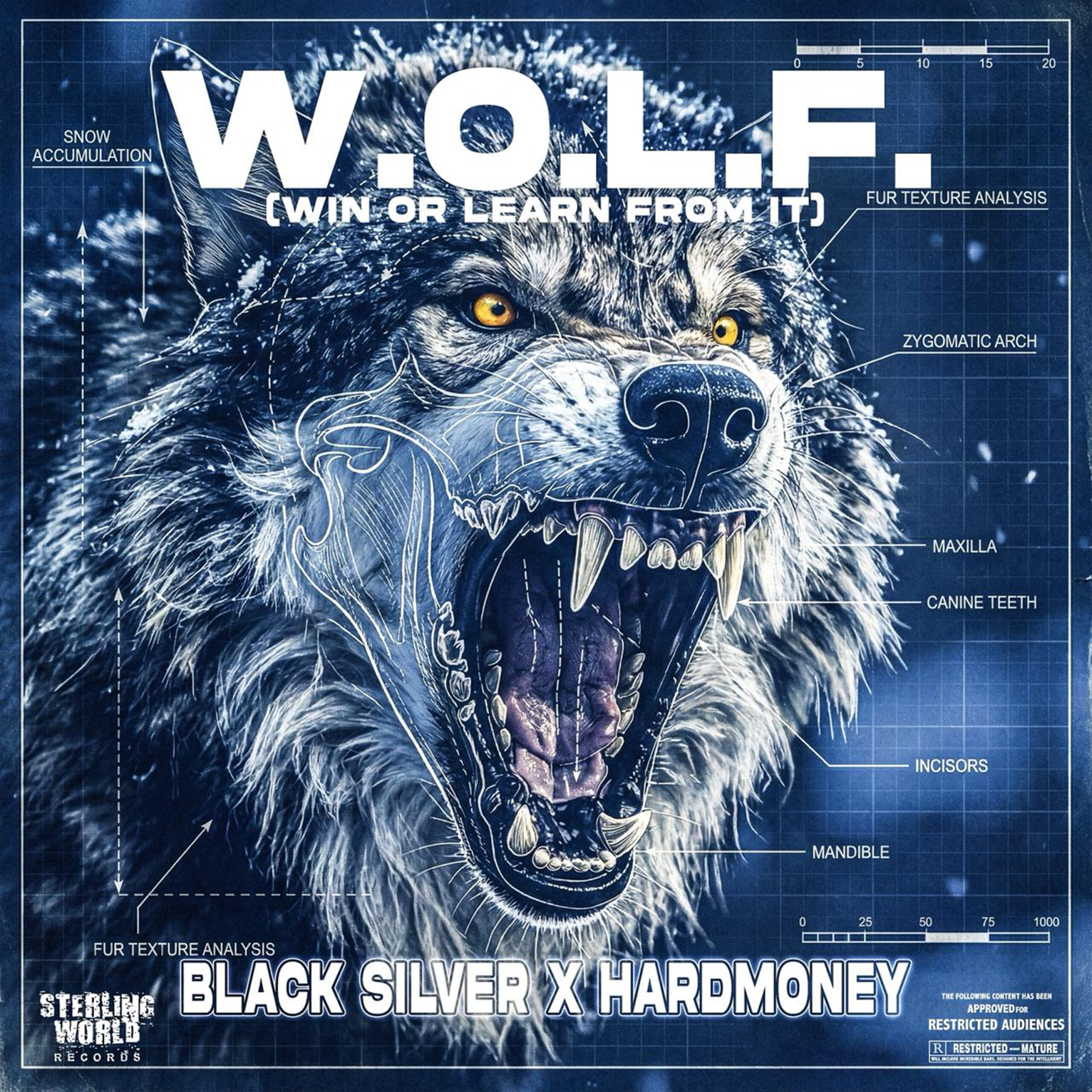 Black Silver Unleashes the Power of W.O.L.F.