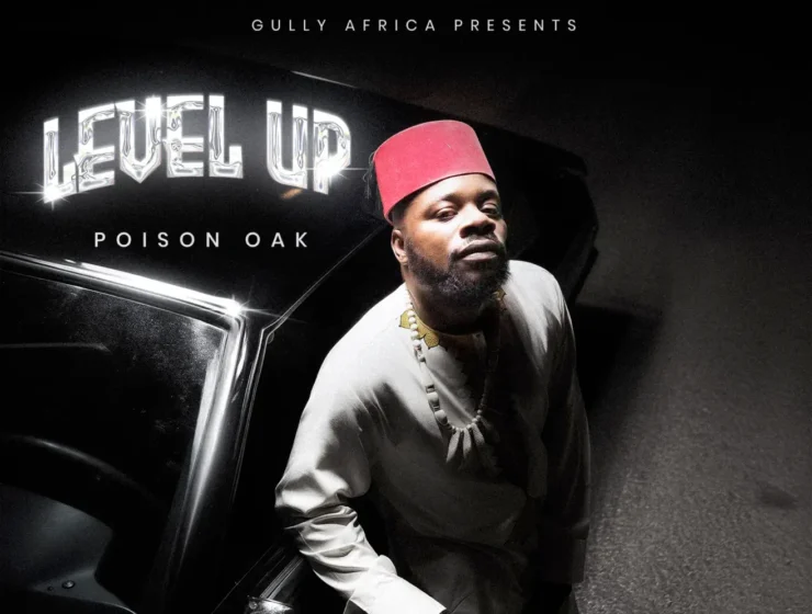 P. Oak Blends Afro-Fusion and HipHop Energy on Inspiring Project "Level Up"