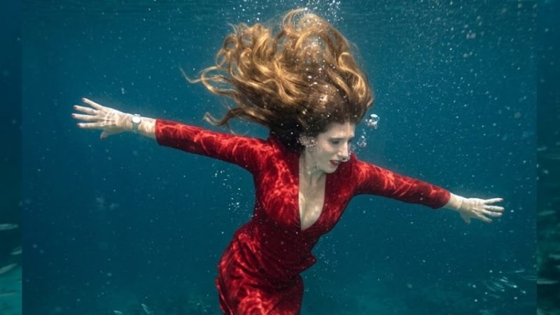 Marsha Swanson’s Emotional Architecture: The Artist Creating a Universe Where Music Meets Meaning