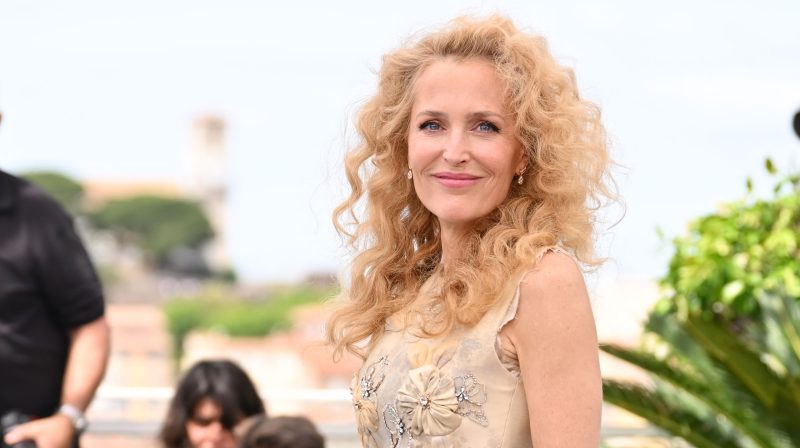 Gillian Anderson Says She Was on Crystal Meth During Teenage High School Arrest