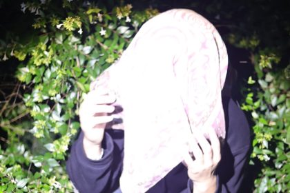 David Naïve Captures the Chaos of Becoming on ‘Maiden, Post-Vïe’