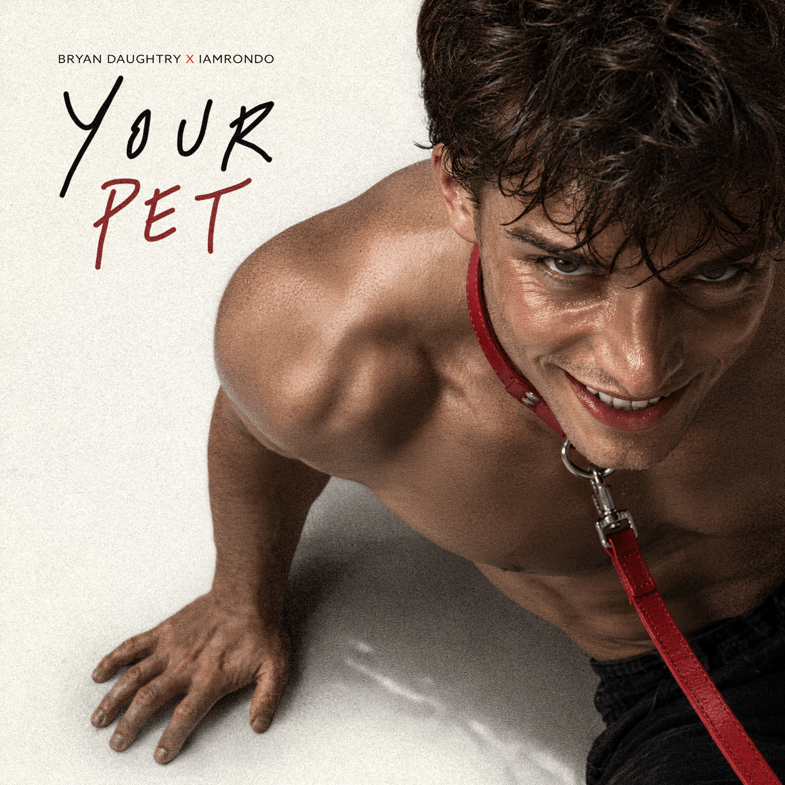 IAMRONDO-Your Pet